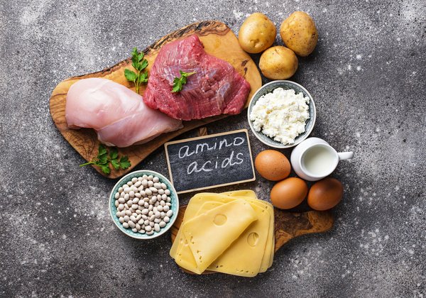 Les acides aminés : les blocs de construction de la protéine et bien plus encore